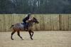 Oxford Polo 2022_12_18 0110